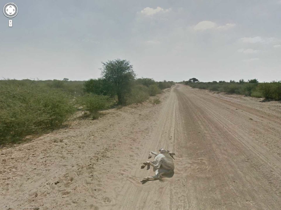 15 Google Maps Images That Seem To Freak People Out